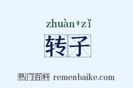 转子是什么意思的图片